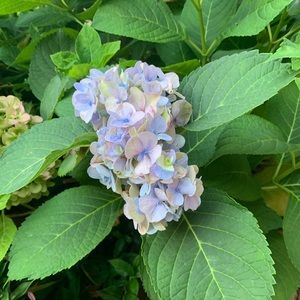 Meet your Posher, Breanna